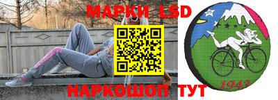 шишки Лесосибирск