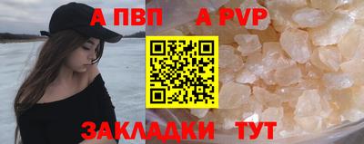 шишки Лесосибирск