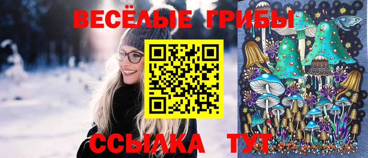 Галлюциногенные грибы Cubensis  Вход с VPN  Шадринск  Псилоцибиновые грибы мицелий 